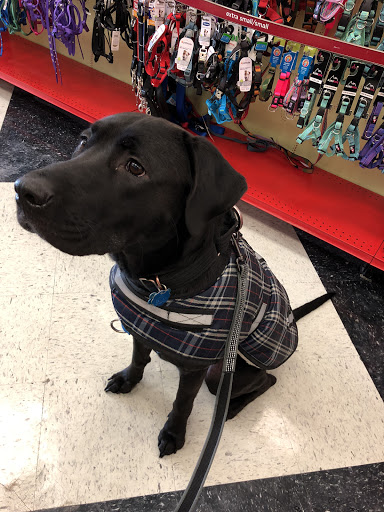 Pet Supply Store «Petco Animal Supplies», reviews and photos, 403 N 8th St, West Dundee, IL 60118, USA