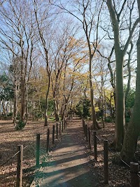 高野台3丁目市民の森