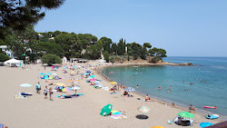 Photo de Platja de Grifeu zone des équipements