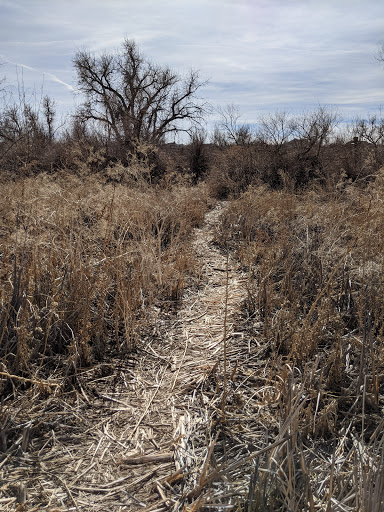 Park «Piney Creek Hollow Park», reviews and photos, 6140 S Tower Rd, Aurora, CO 80016, USA