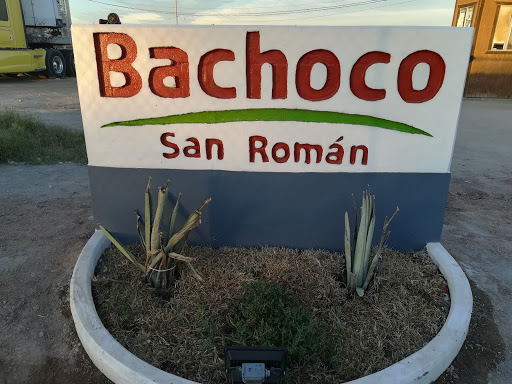 Bachoco San Roman