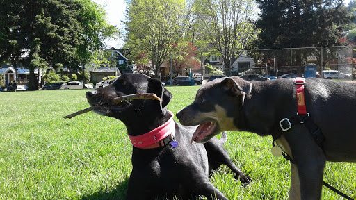 Park «Wallace City Park», reviews and photos, 1600 NW 25th Ave, Portland, OR 97210, USA