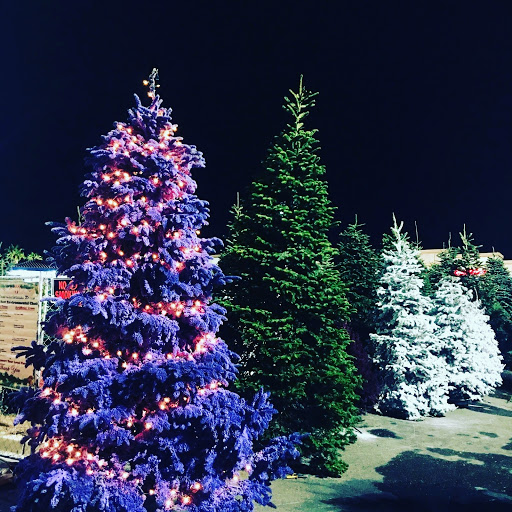 Noble Valley Christmas Trees