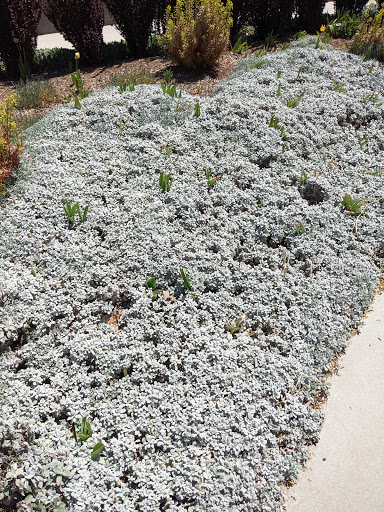 Botanical Garden «Conservation Garden Park», reviews and photos, 8275 1300 W, West Jordan, UT 84088, USA