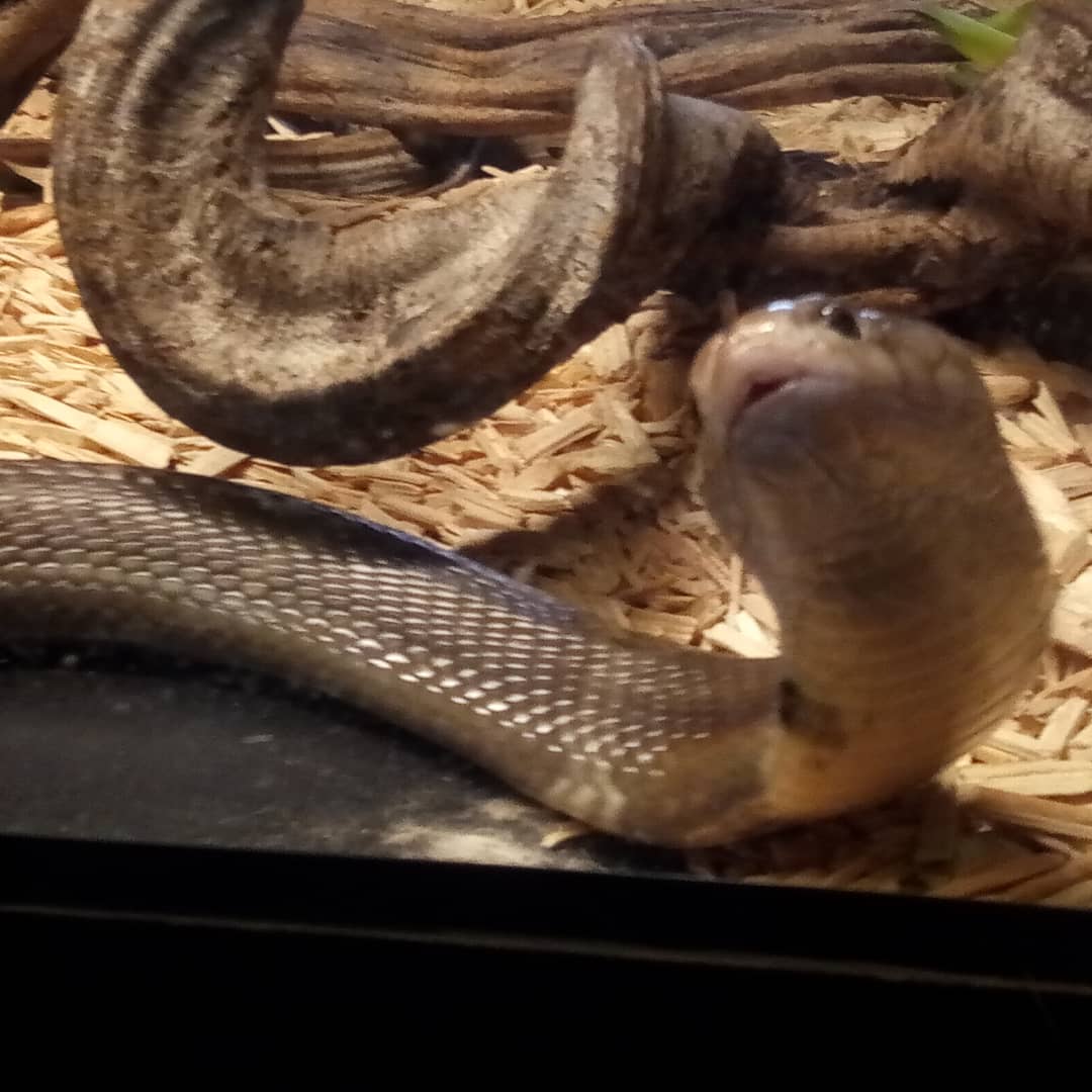 Photo n° 3 de l'avis de Benjamin.u fait le 14/03/2020 à 21:18