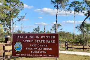 Lake June in Winter Scrub Preserve State Park image