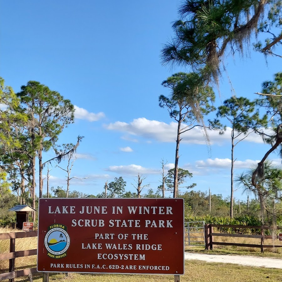 Lake June in Winter Scrub Preserve State Park