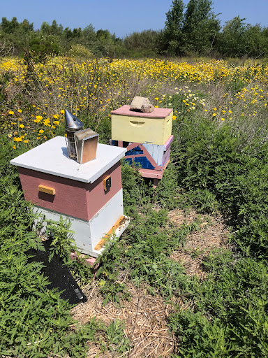 Honey farm Chula Vista