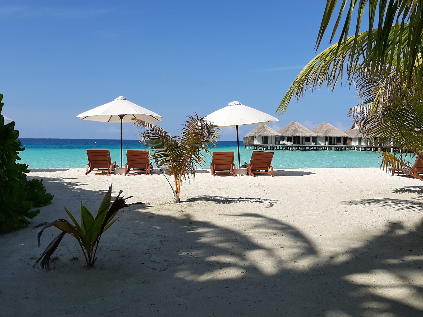 Photo de Velassaru Maldives zone de l'hôtel