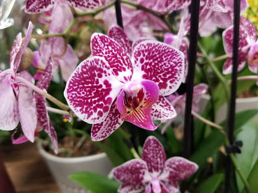 Home Improvement Store «The Home Depot», reviews and photos, 95 Highland Ave, Seekonk, MA 02771, USA