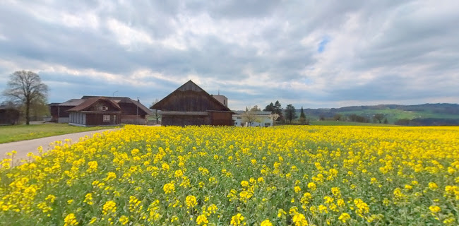 Kommentare und Rezensionen über Katholische Kirche St. Gallus