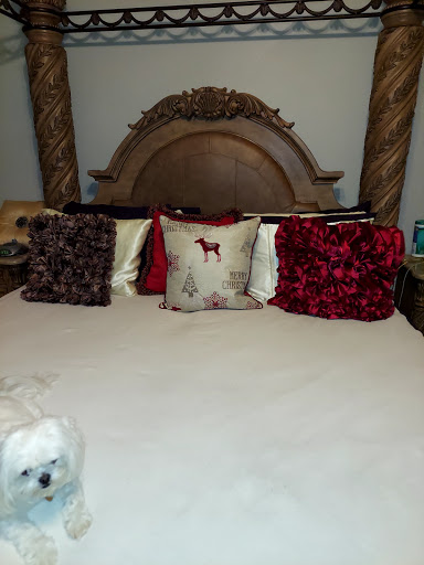 Department Store «Marshalls & HomeGoods», reviews and photos, 1120 Lake Woodlands Dr, The Woodlands, TX 77380, USA