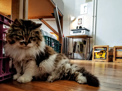 Record Store «Irvington Vinyl», reviews and photos, 9 Johnson Ave, Indianapolis, IN 46219, USA