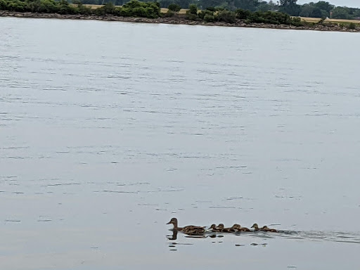 Waddington Hardware And Building Supply