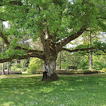Photo n° 2 de l'avis de Pascal.a fait le 08/05/2022 à 19:53 pour Arboretum des Grandes Bruyères à Ingrannes