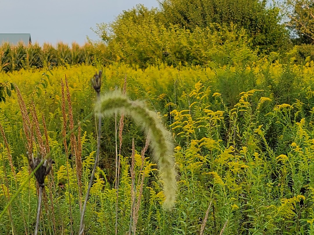 Trailhead Park