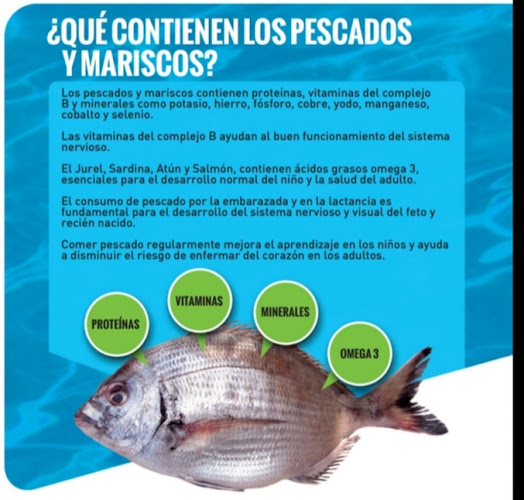 Opiniones de pescaderia come sano y fresco en Valparaíso - Marisquería