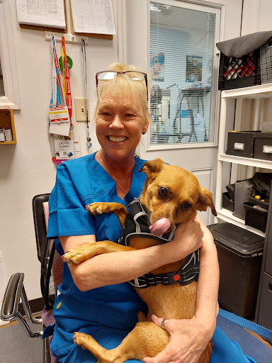 Pet Supply Store «Adogable PET SERVICES», reviews and photos, 4884 Sun City Center Blvd, Sun City Center, FL 33573, USA