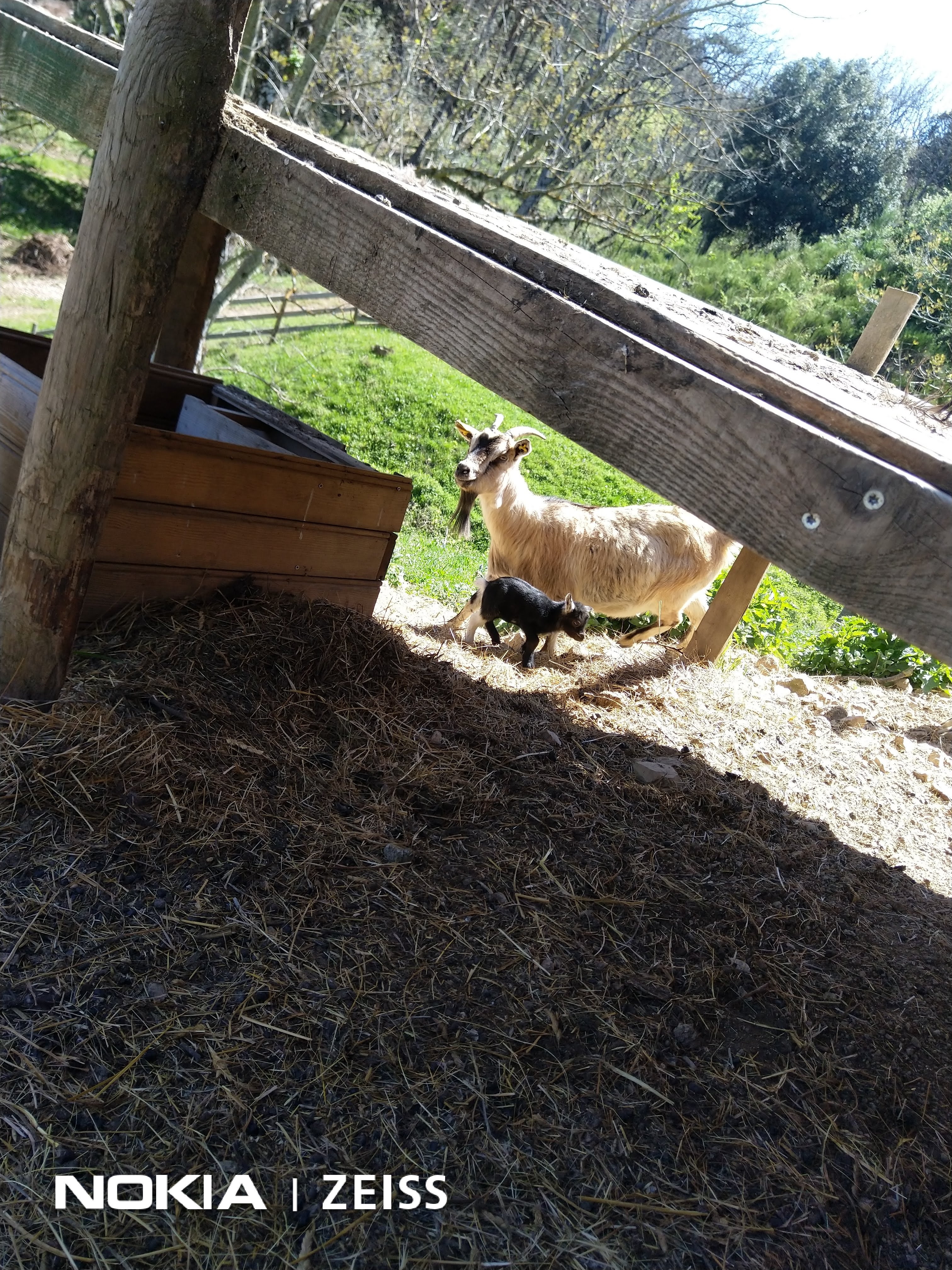 Photo n° 3 de l'avis de mickael.e fait le 17/04/2022 à 15:33