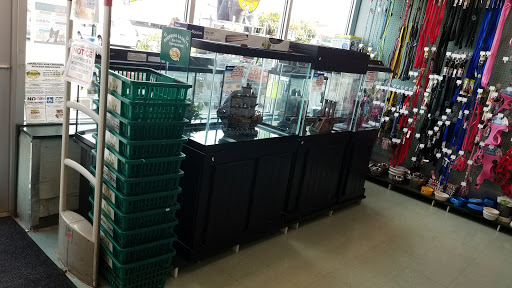 Pet Store «Petland Discounts - LI City», reviews and photos, 34-60 48th Ave, Queens, NY 11101, USA