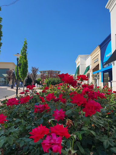 Computer Store «Apple Lehigh Valley», reviews and photos, 250 Lehigh Valley Mall, Whitehall, PA 18052, USA