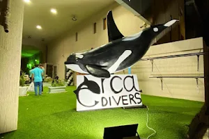 Orca Dive Center image