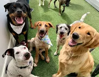 Bouse Fur House - Car repair in Broken Arrow, OK, Broken Arrow - Rated 4.7/5