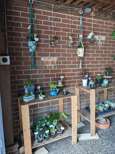 Florist «Mills the Florist», reviews and photos, 235 University Ave, Palo Alto, CA 94301, USA