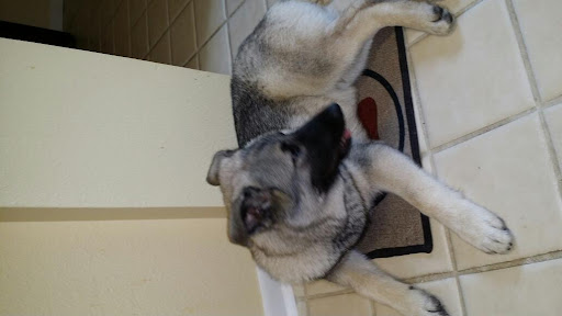 Moving and Storage Service «Bayside Moving & Storage», reviews and photos, 4719 N Thatcher Ave, Tampa, FL 33614, USA