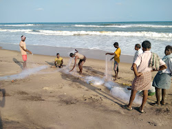 Pentakota Beach 1'in fotoğrafı - rahatlamayı sevenler arasında popüler bir yer