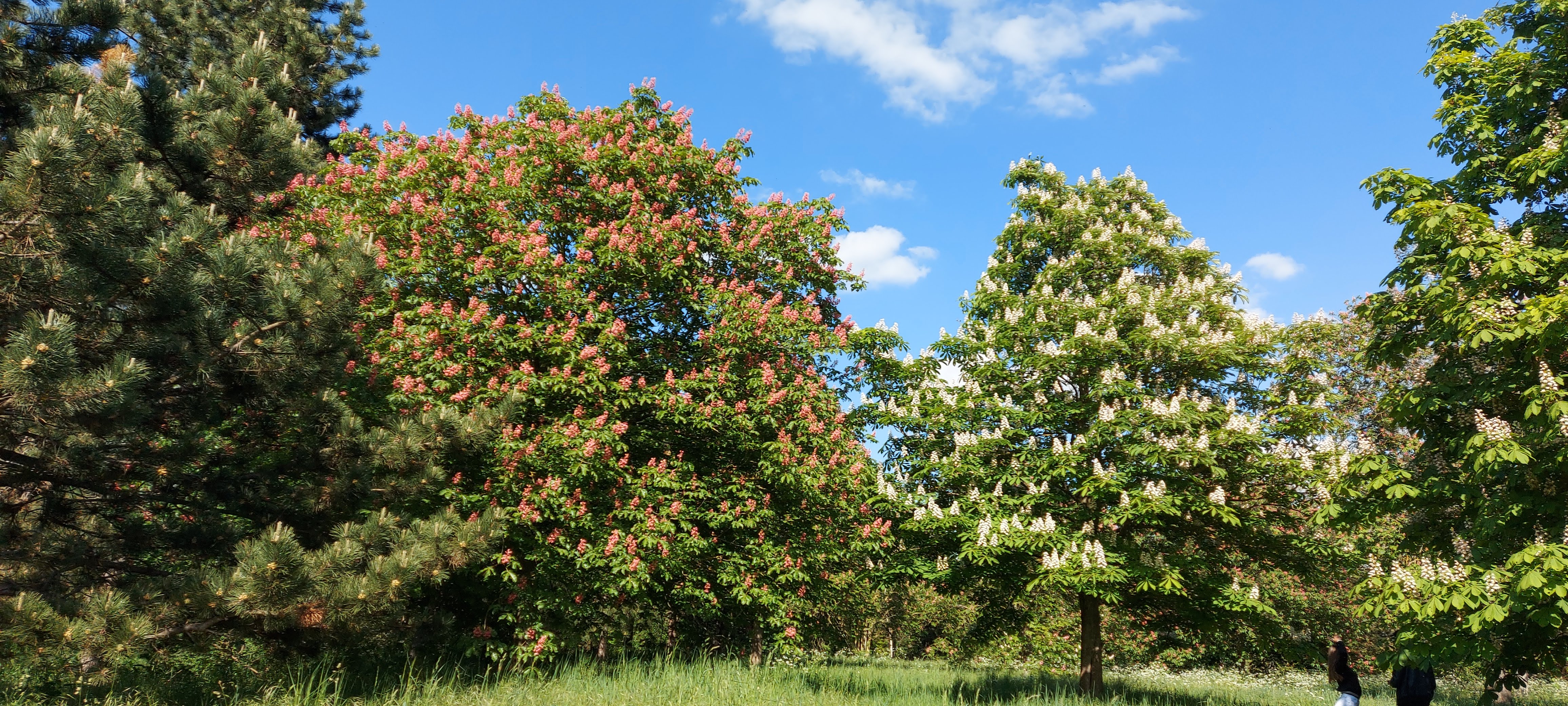 Photo n° 19 de l'avis de gwadilina.l fait le 12/05/2022 à 00:30