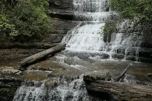 Lady Barron Falls image