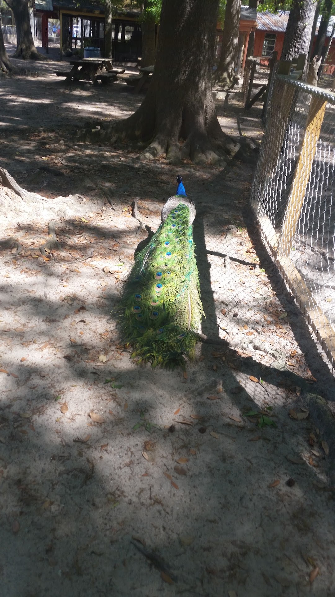 Five-R Truck & Trailer