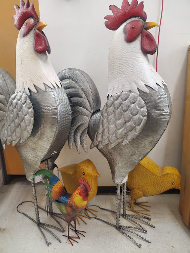 Home Improvement Store «Tractor Supply Co.», reviews and photos, 2470 Anderson Hwy g, Powhatan, VA 23139, USA