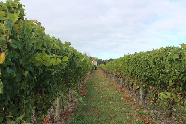 Reviews of Askerne Estate Winery in Havelock North - Liquor store