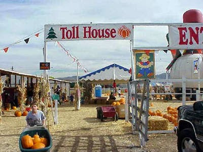 Toll House Pumpkin Patch and Christmas Trees