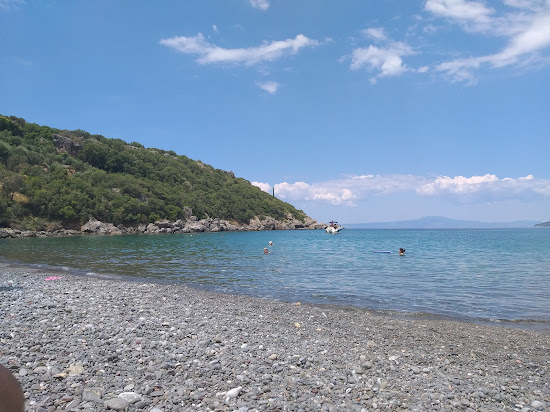 Delfinia beach