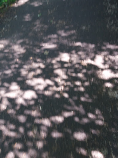 Park «EVERGREEN PARK», reviews and photos, 2615 NW 194th Terrace, Hillsboro, OR 97124, USA