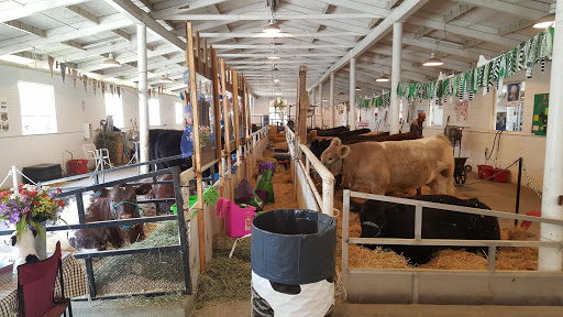 Solano County Fairgrounds image