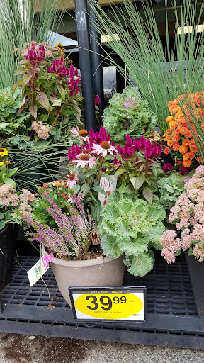 Grocery Store «Quality Food Center», reviews and photos, 1009 Monroe Ave, Enumclaw, WA 98022, USA