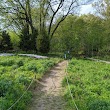 Native Flora Garden