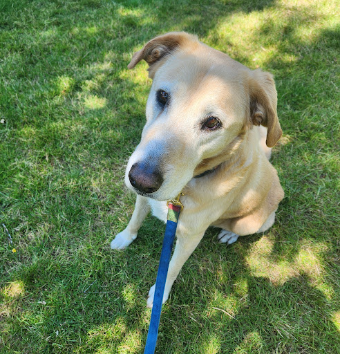 Riverbend Veterinary Care
