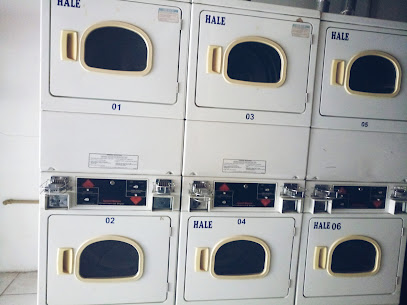 lavanderia automática Hale