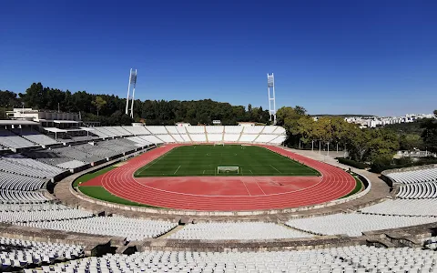 Estádio Nacional do Jamor image