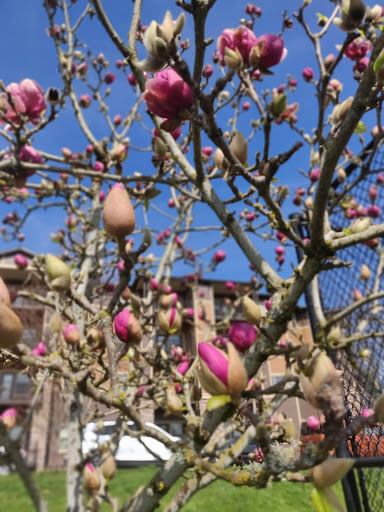 Park «Magnolia Park», reviews and photos, 1810 NW 192nd Ave, Hillsboro, OR 97124, USA