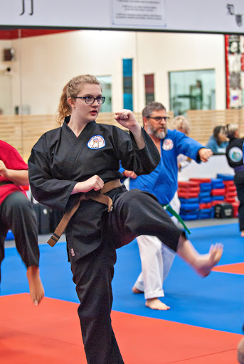 American Martial Arts Academy image