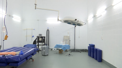 Clínica Equina Axati en Peñaflor