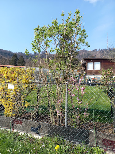 Rezensionen über Tennisclub Uetliberg in Zürich - Sportstätte