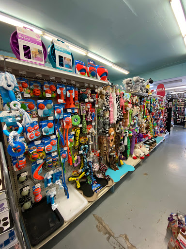 Pet Supply Store «Village Pets & Supply», reviews and photos, 4213 Montgomery Dr, Santa Rosa, CA 95405, USA