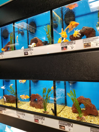 Pet Supply Store «Petco Animal Supplies», reviews and photos, 855 E Bidwell St, Folsom, CA 95630, USA